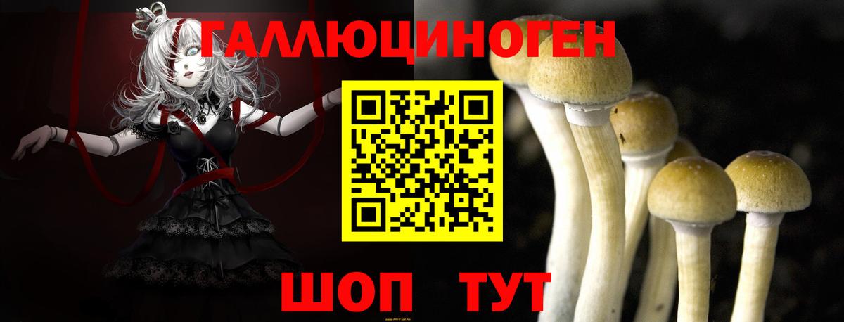 Галлюциногенные грибы Psilocybine cubensis  Вход с VPN  Барабинск 